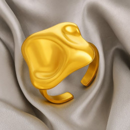 Кольцо титановая сталь напыление золотом 1J12252CJJ