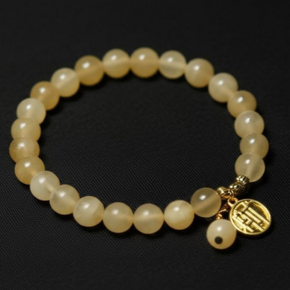 Браслет медовый янтарь с монетками J11057CJJ