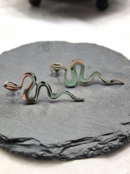 Длинные серьги из медицинской стали в форме извивающихся змей 1J11355CJJ