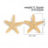 Серьги ювелирный сплав морская звезда 1J11880CJJ