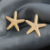Серьги ювелирный сплав морская звезда 1J11880CJJ