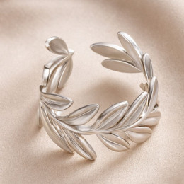 Кольцо титановая сталь 1J12376CJJ