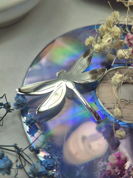 Брошь Медицинская сталь J10302CJJ