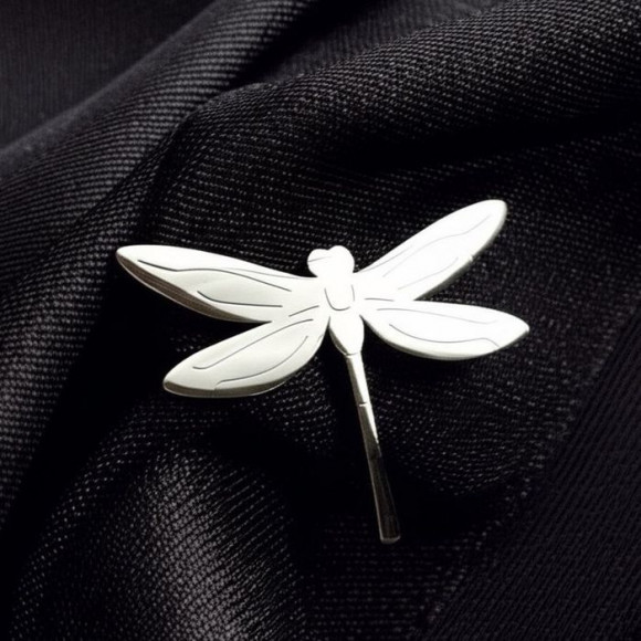 Брошь Медицинская сталь J10302CJJ