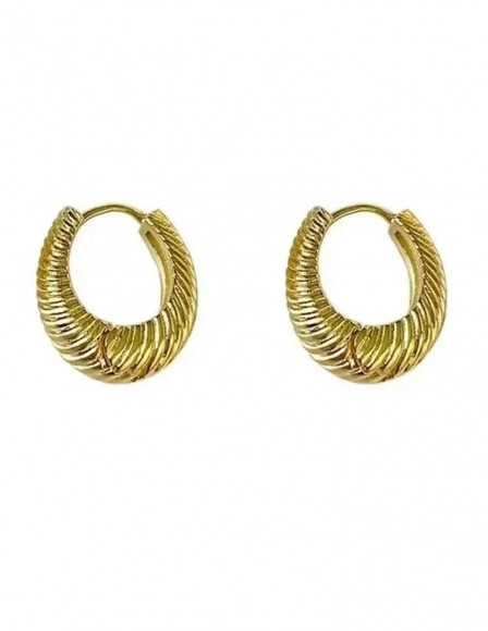 Серьги латунь с напылением золотом в виде кольца J10048CJJ Серьги латунь с напылением золотом в виде кольца J10048CJJ